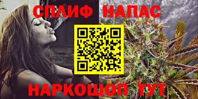 Альфа ПВП Можга