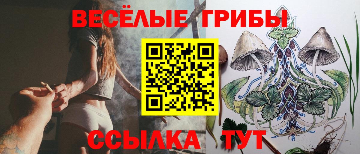 Галлюциногенные грибы прущие грибы Торжок