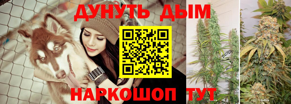 Бошки марихуана Amnesia Торжок